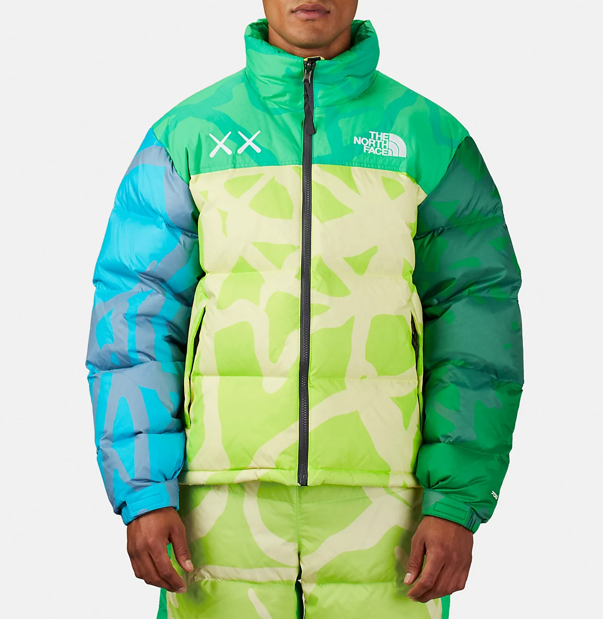 定番のお歳暮 the north face 海中宝様専用 kaws kaws デナリ