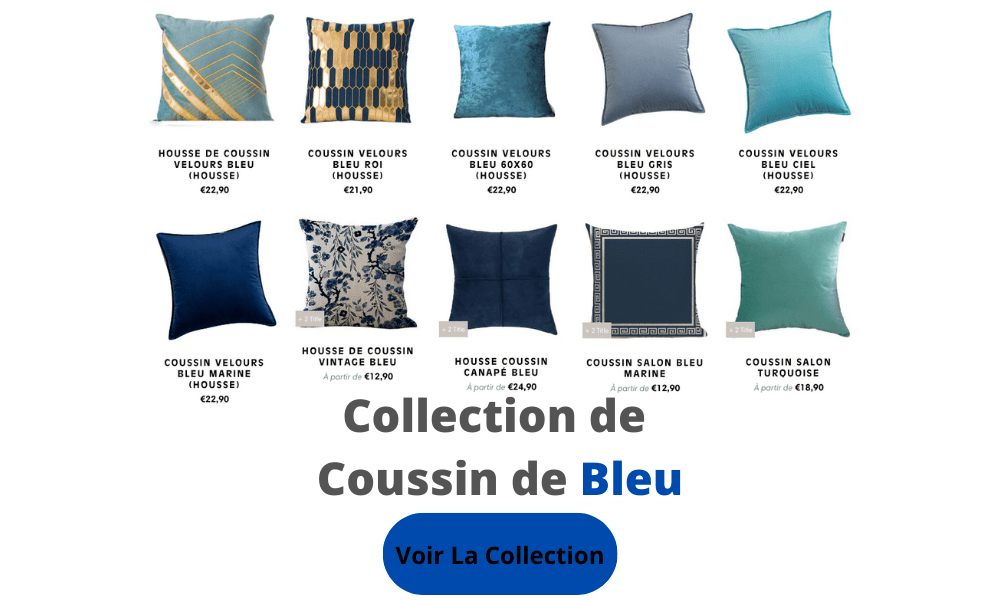collection de coussin bleu