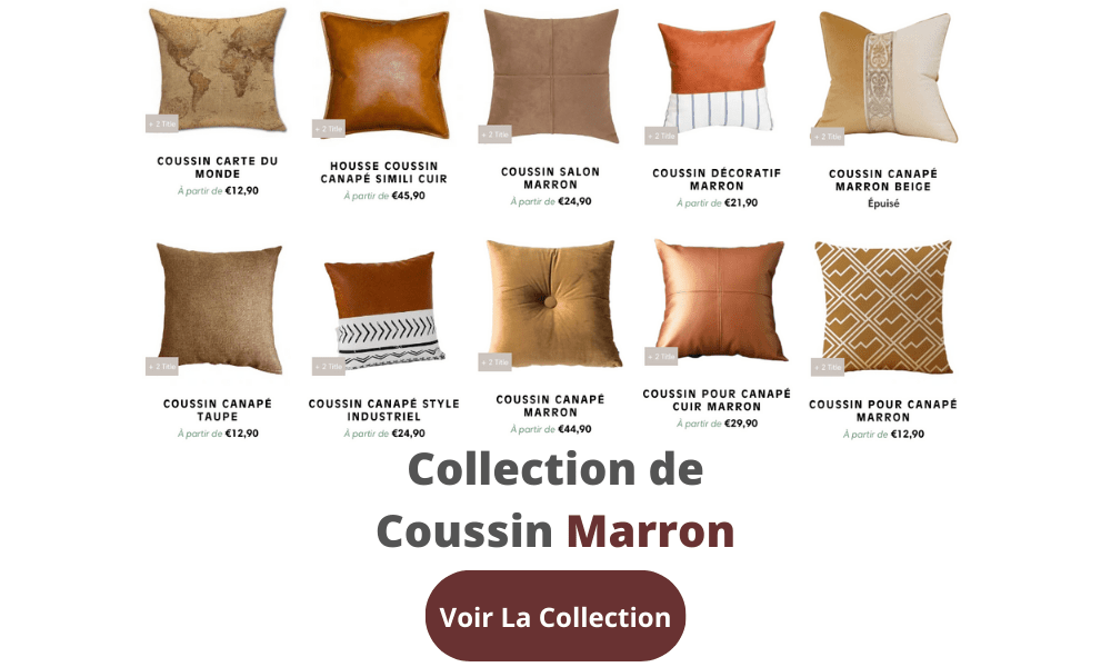 collection de coussin marron