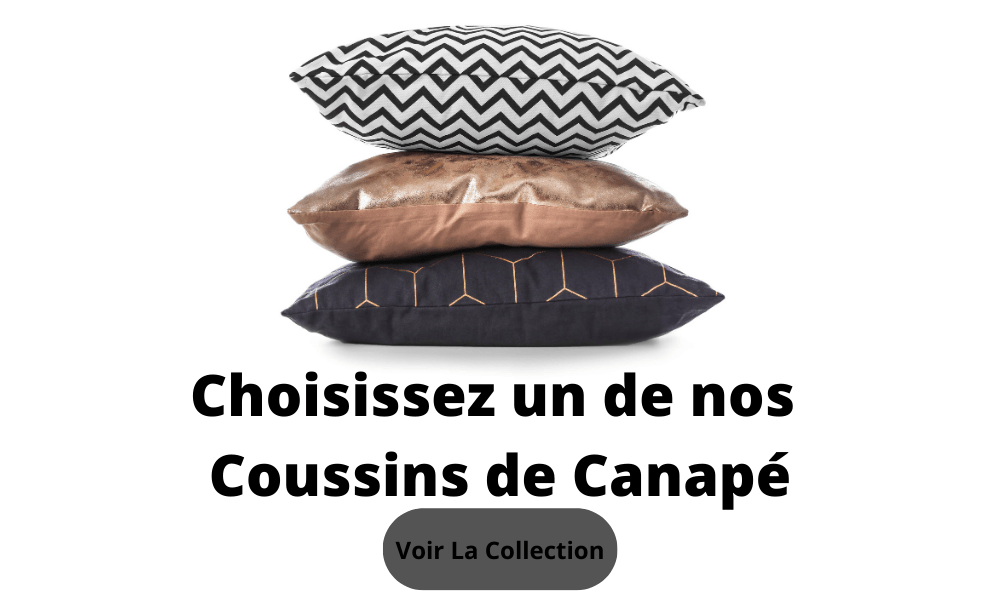 collection coussin de canapé