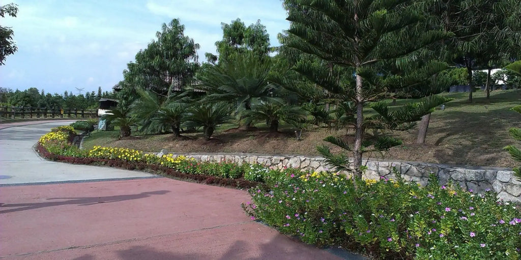 Taman Saujana Hijau