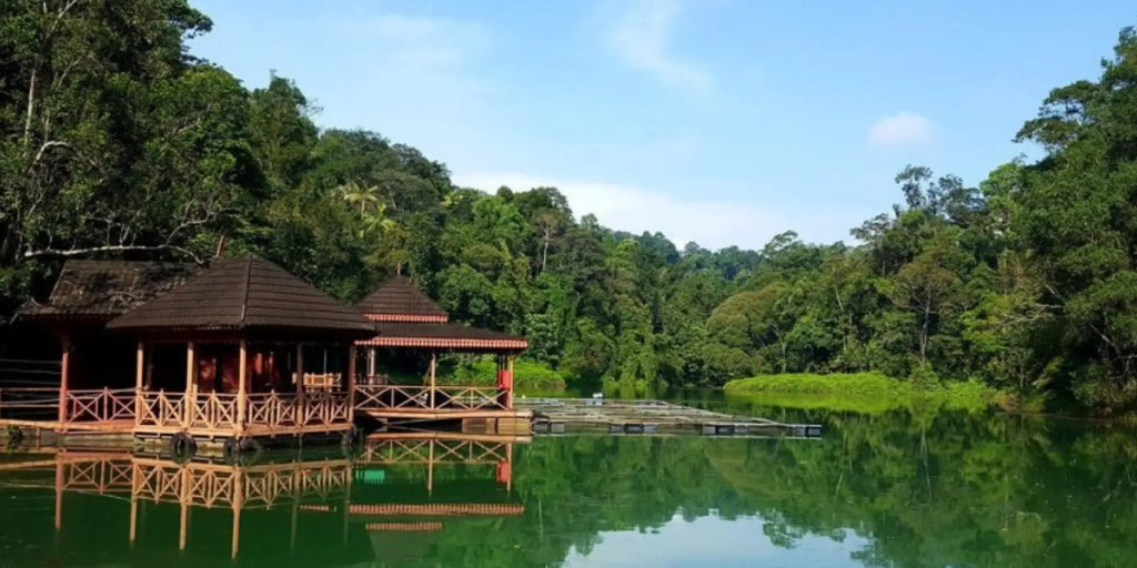 Taman Botani Negara