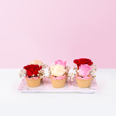 Rosie Cupcakes (12 Pieces) - CakeRush