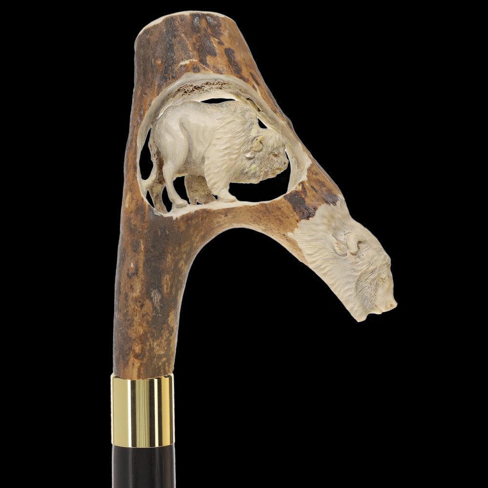 Bull Organ Tourist Handle Cane