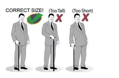 Cane Sizing Guide