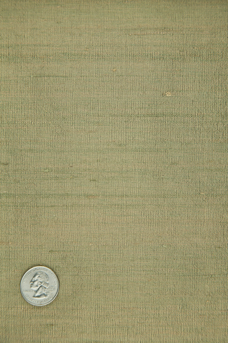 Elmwood Silk Shantung 141/21 Fabric