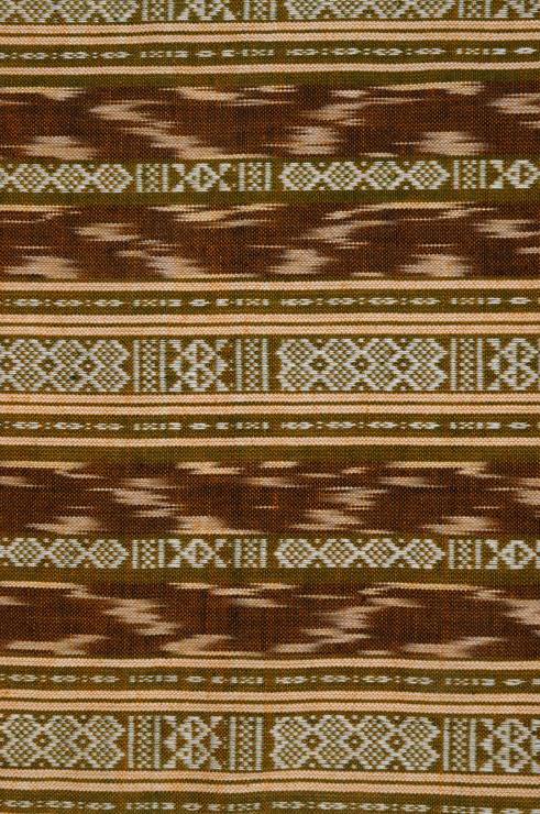 Olive Branch Cotton Ikat 31 Fabric