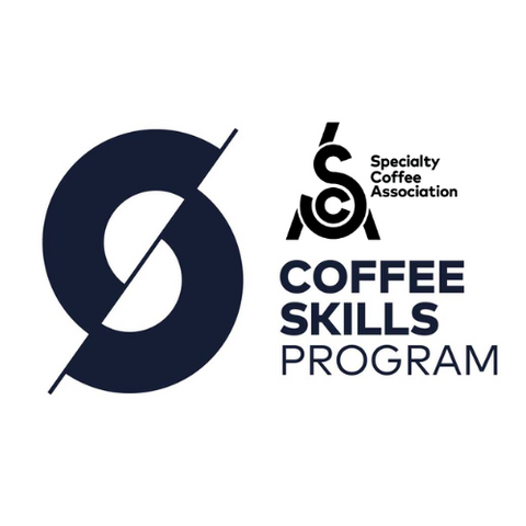 specialty coffee association training program