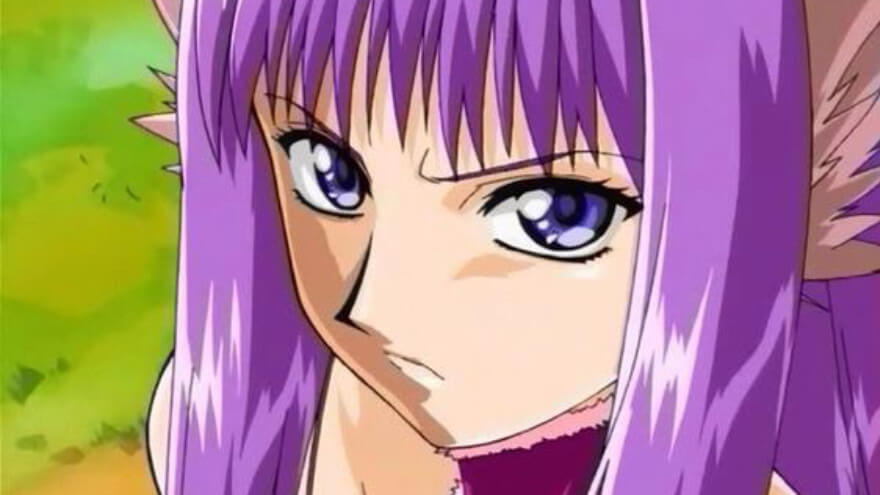 Zakuro Fujiwara from the anime Tokyo Mew Mew New