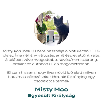 CBD ízületekre