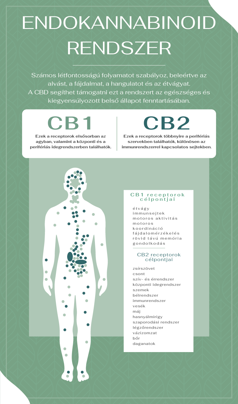 endokannabinoid rendszer