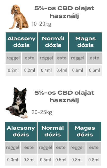 cbd olaj adag kis kutyáknak