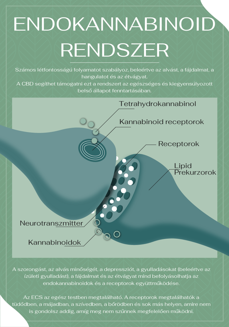 endokannabinoid