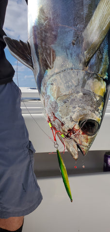 3v Jig catches nice blackfin tuna