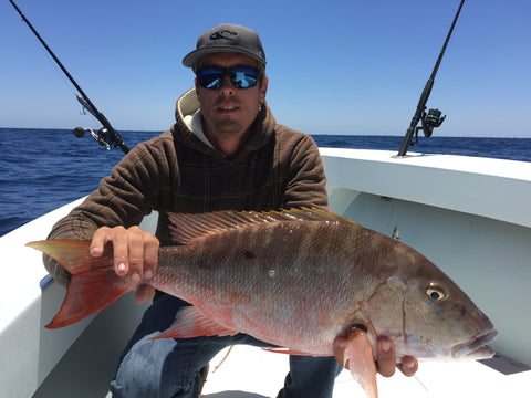 Mutton Snapper on artificial