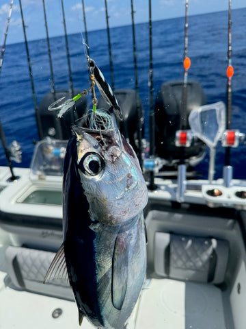 black fin tuna east Smash jig 150G