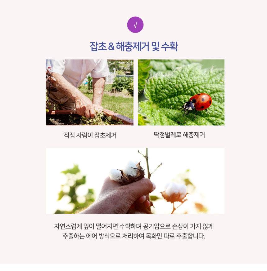 유기농 본 생리대 BON Organic Sanitary Pad Ultra Thin