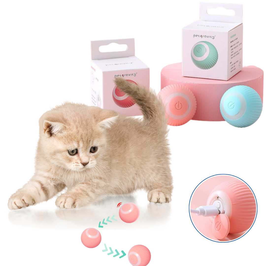 고양이 장난감 Interactive Cat Toy