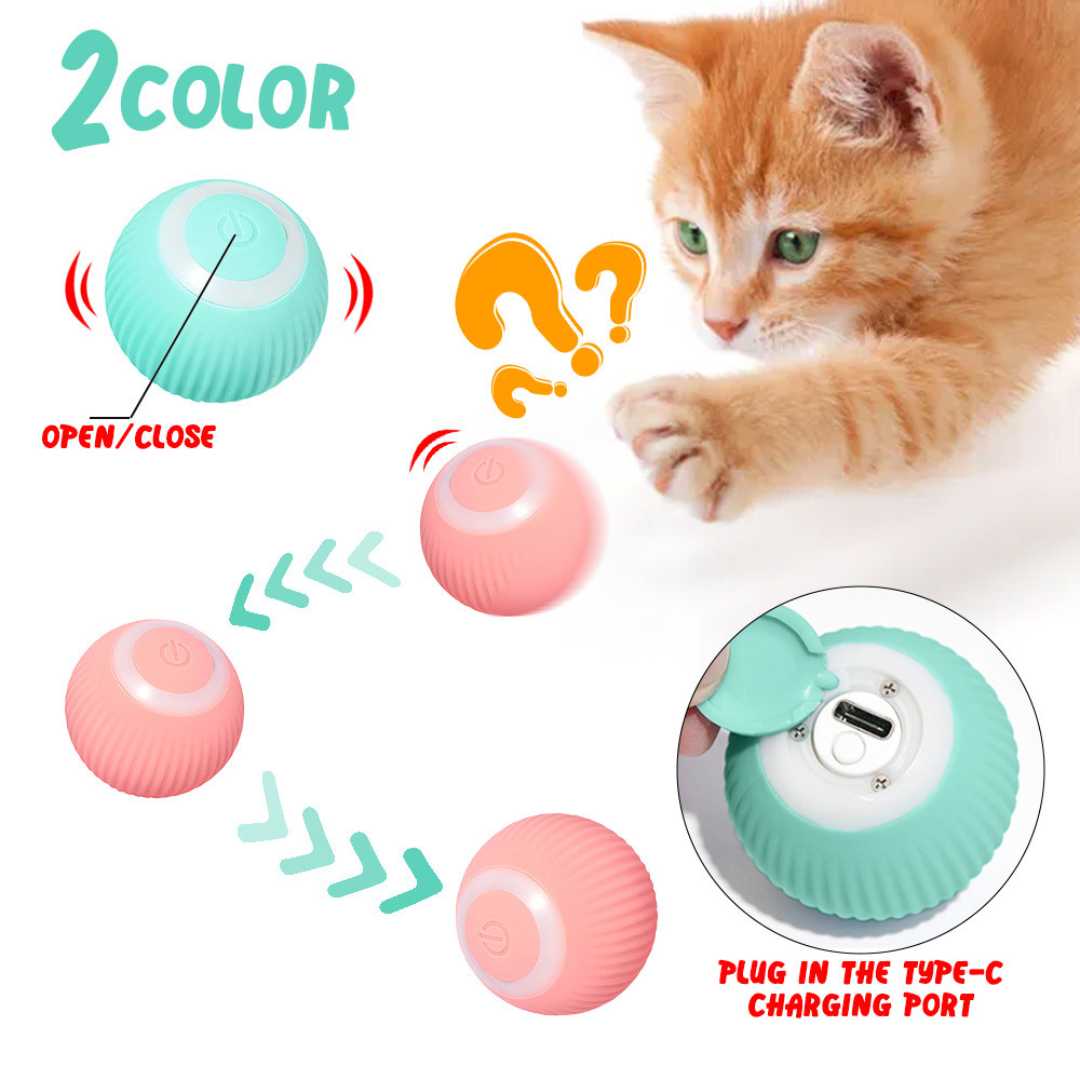 고양이 장난감 Interactive Cat Toy