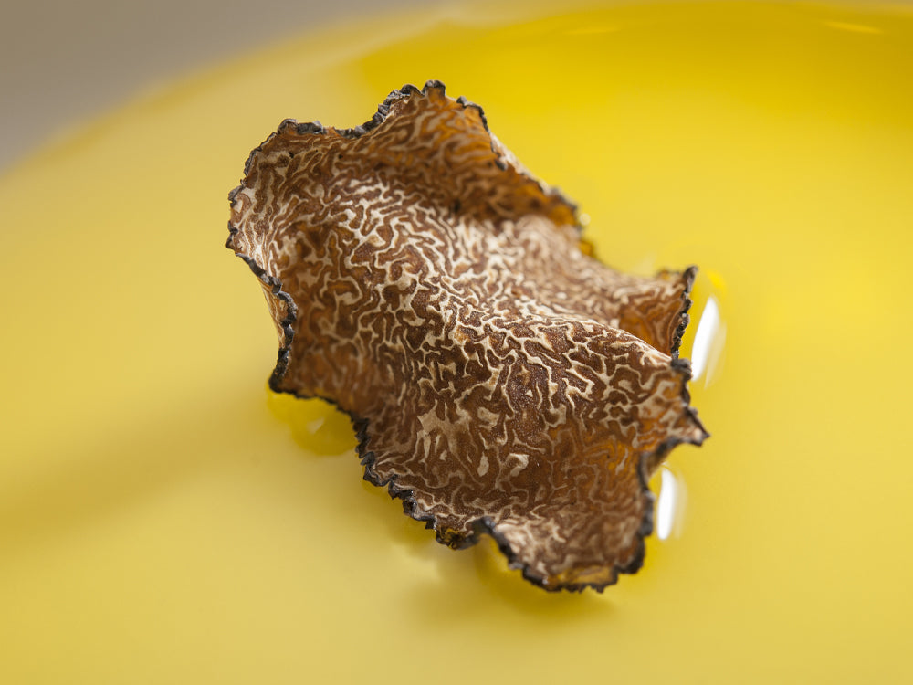 달바 독자적인 특허성분 Trufferol™ [특허 제10-2332666호]  이탈리아산 화이트 트러플과 토코페롤을 황금비율로 배합하여 달바의 탄력 메커니즘을 완성하는 핵심 독자 성분 트러페롤™을 개발했습니다.  White Truffle 이탈리아산 화이트 트러플 13,000ppm (흰서양송로추출물)  Tocopherol 1,200ppm 비타민E (토코페롤)  d'Alba 독자 성분'트러페롤' 인체적용시험 완료로 확인된 효과 겉탄력 + 깊은탄력 2중 탄력 개선에 도움  [한국피부과학연구원, 2020.04.17~2020.06.08, 23명, 사용전, 2주사용후, 4주 사용후, 피부탄력, 피부 깊은 탄력개선 평가 비교, 개인차있음] *성분 특성에 한함
