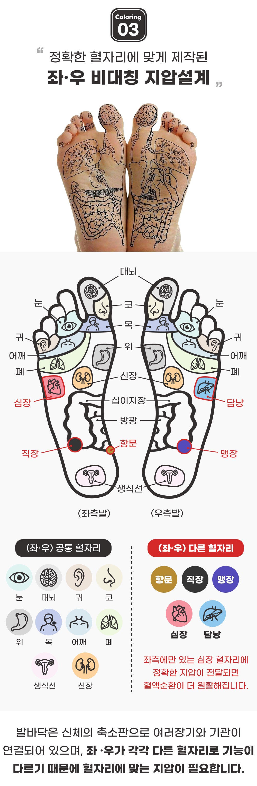 슬리퍼 벨롭 지압