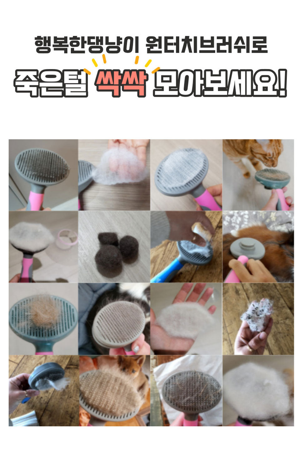 행복한 댕냥이 강아지 개 고양이 펫 반려 동물 브러쉬 빗 털 날림 방지 호주 온라인 쇼핑몰