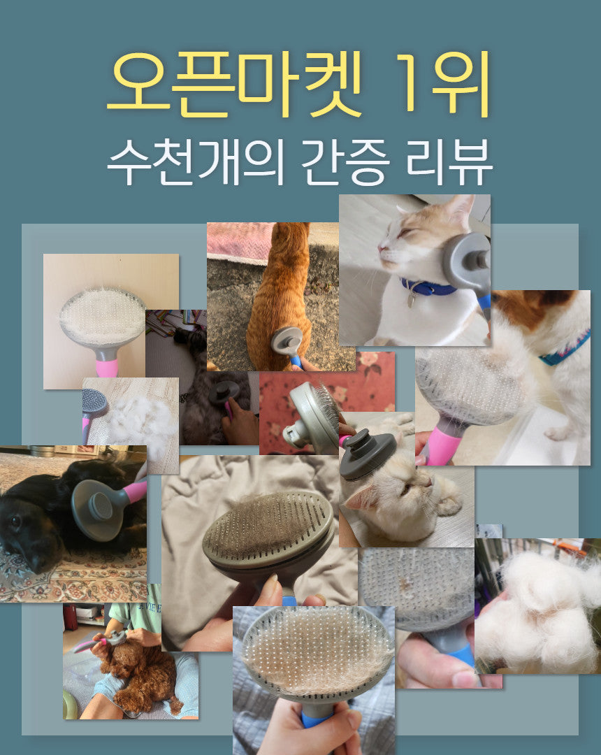 행복한 댕냥이 강아지 개 고양이 펫 반려 동물 브러쉬 빗 털 날림 방지 호주 온라인 쇼핑몰