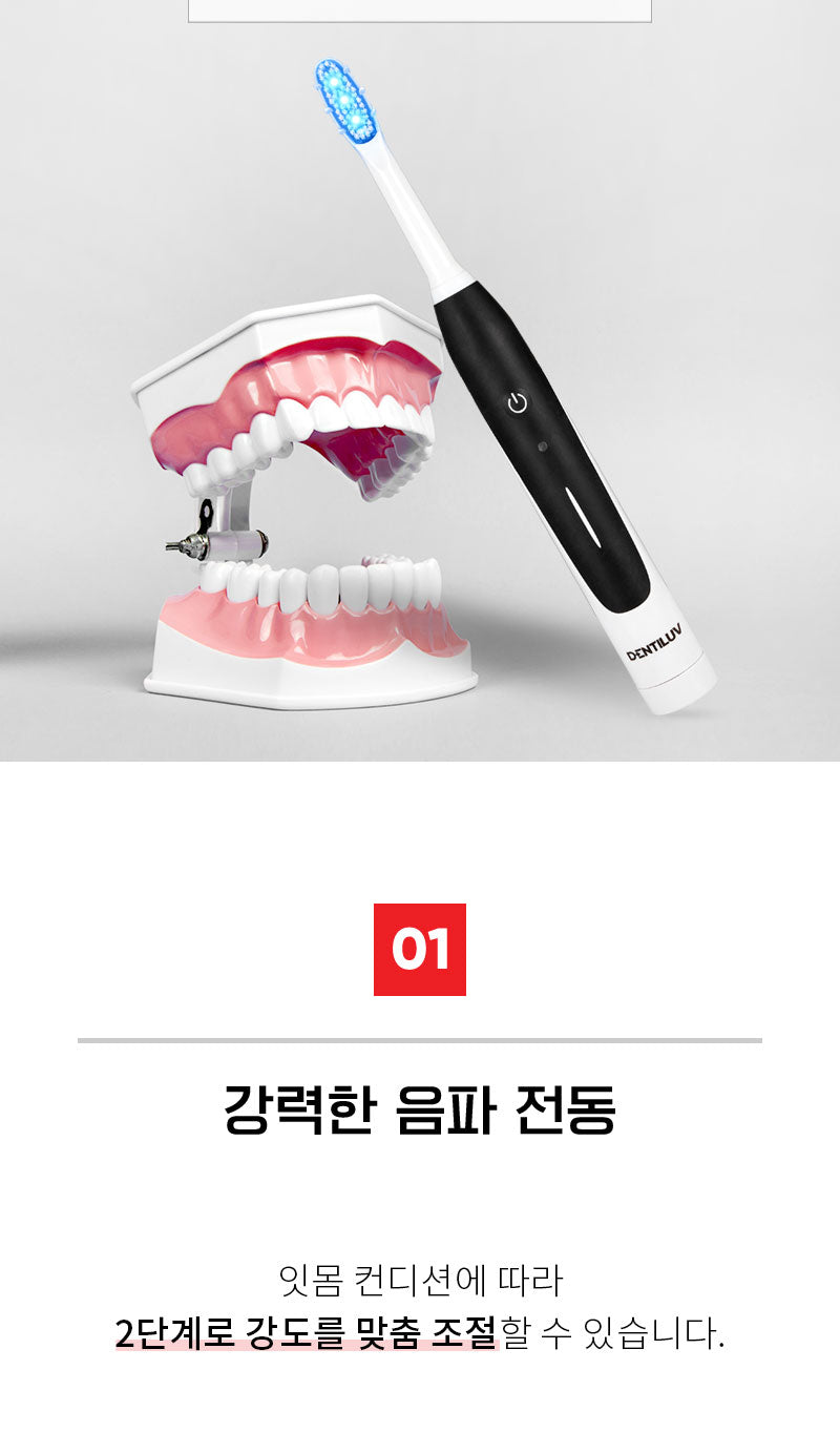 덴티럽 LED 전동 칫솔