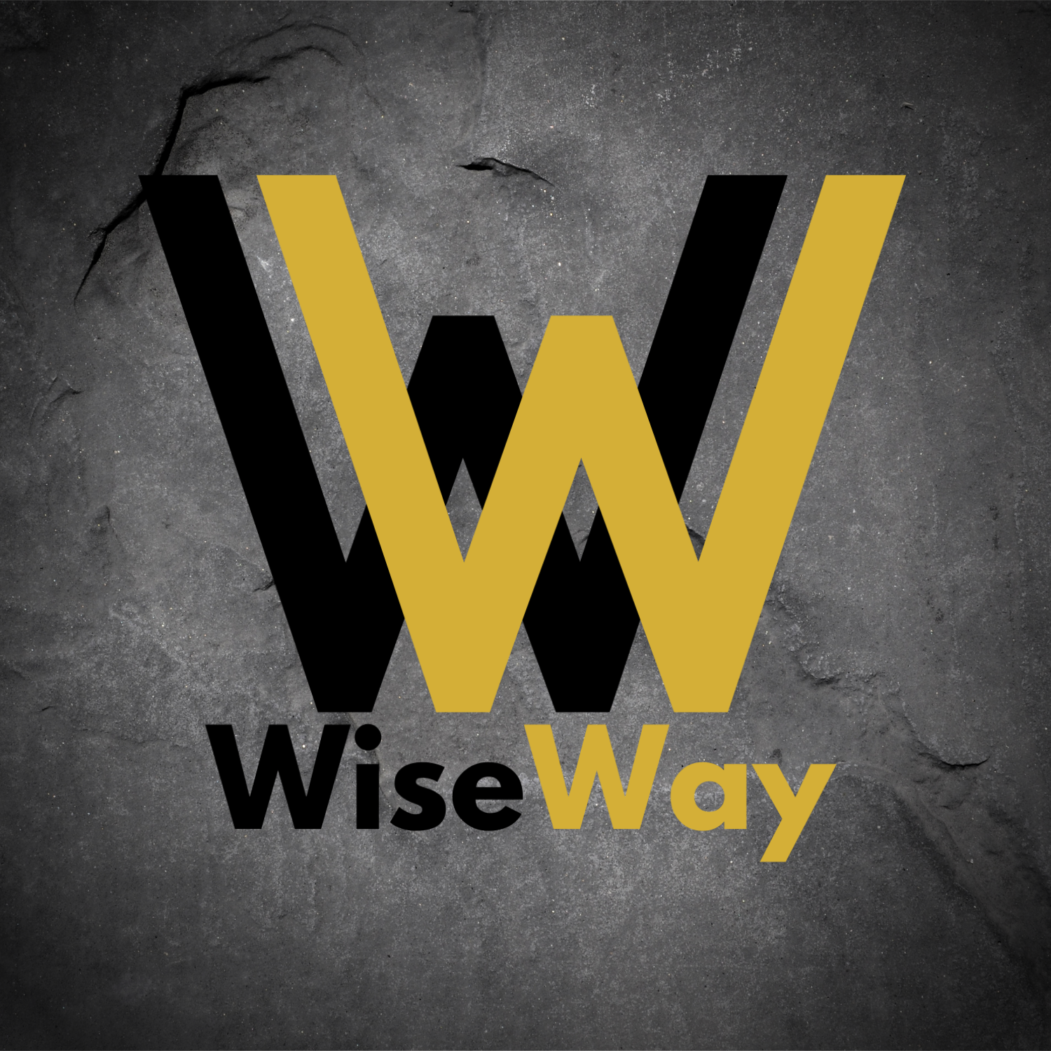 Way.nl – WiseWay