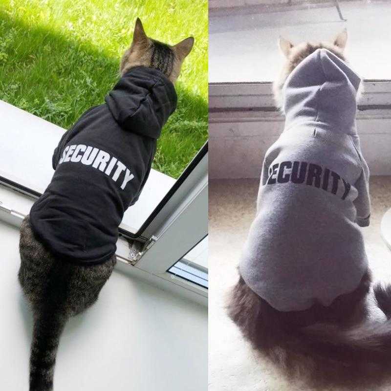 Gilet De Securite Pour Chat