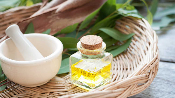 EUCALYPTUS ESSENTIAL OIL