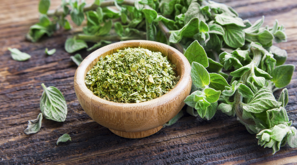 Combat Sinus Infections: Oil of Oregano Benefits