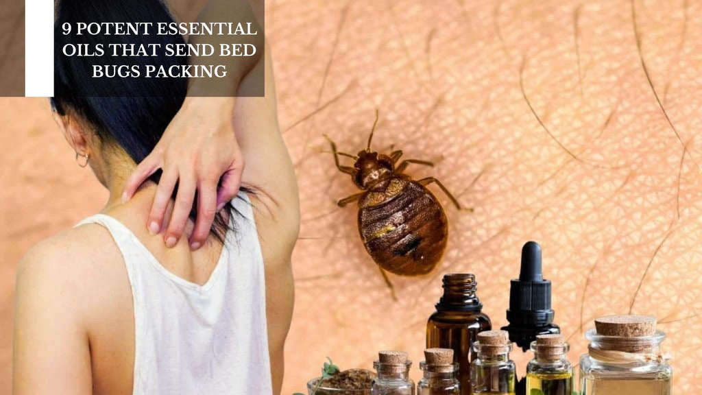 9 POTENT ESSENTIAL OILS THAT SEND BED BUGS PACKING