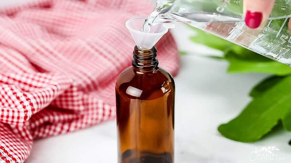 DIY RECIPES OF ESSENTIAL OILS FOR REPELLING ANTS IN THE HOUSE:
