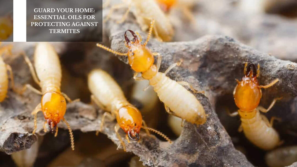 GUARD YOUR HOME: ESSENTIAL OILS FOR PROTECTING AGAINST TERMITES