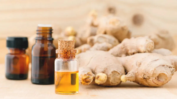 Ginger Essential Oil For Muscle Pain