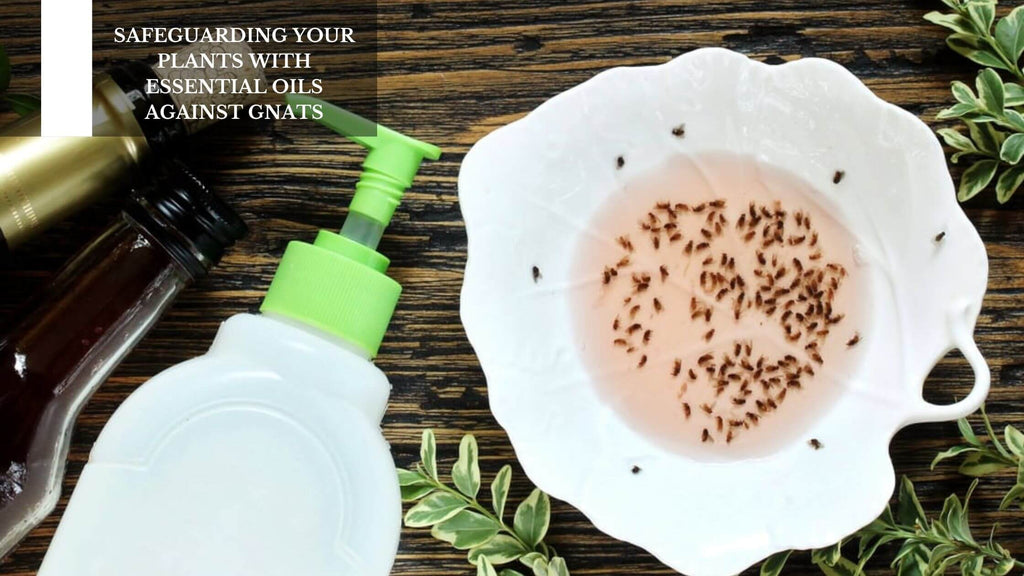 SAFEGUARDING YOUR PLANTS WITH ESSENTIAL OILS AGAINST GNATS