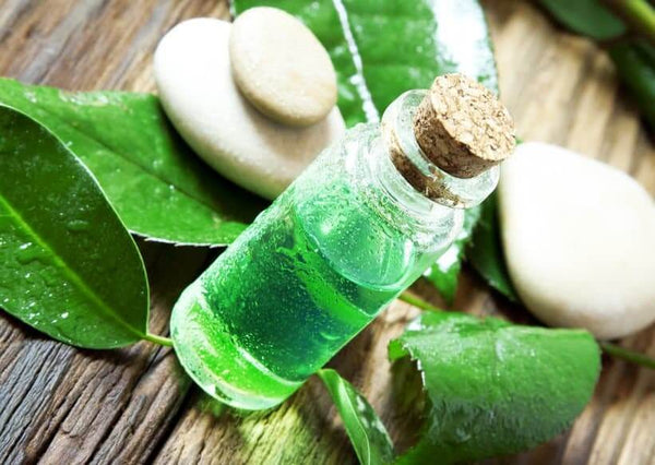 TEA TREE OIL FOR EAR INFECTION