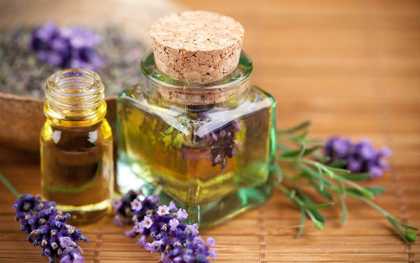 HOW TO USE LAVENDER OIL FOR MOSQUITO REPELLENT?