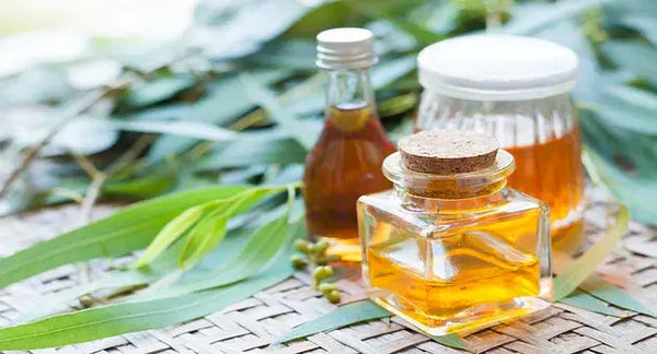 EUCALYPTUS ESSENTIAL OIL