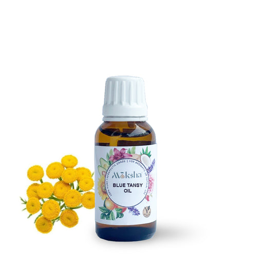 Blue Tansy Oil