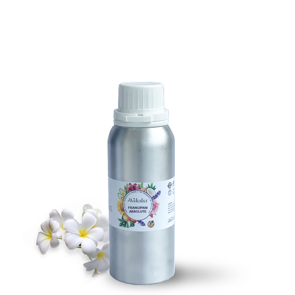 Buy Pure Organic Frangipani Absolute Oil Online in India at Best Wholesale  Price from Manufacturer