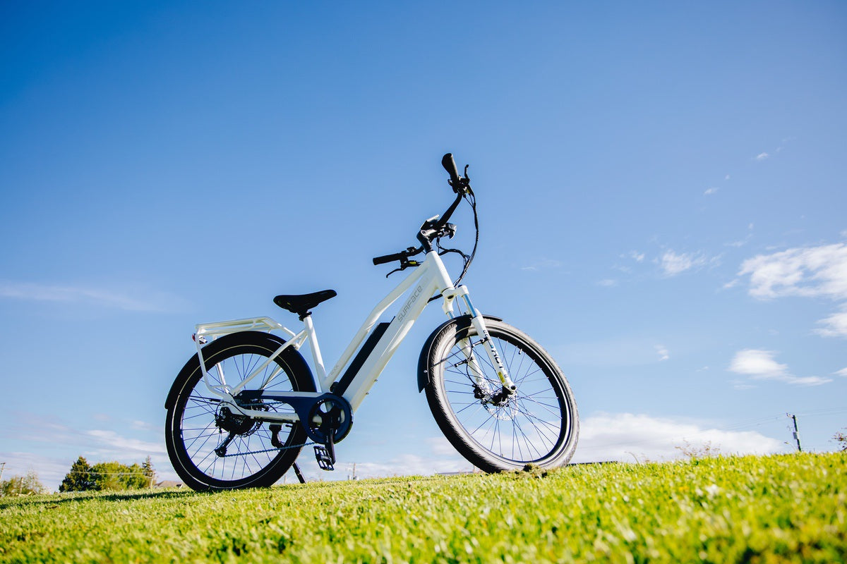 Well-maintained eBike sitting on grassy incline