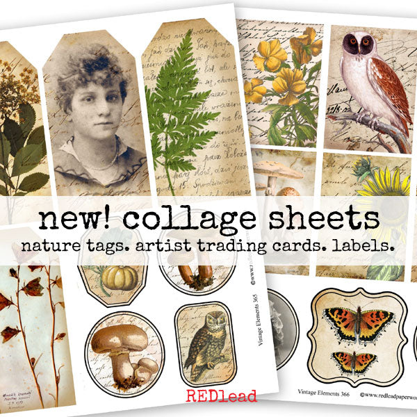 vintage elements nature collage sheets