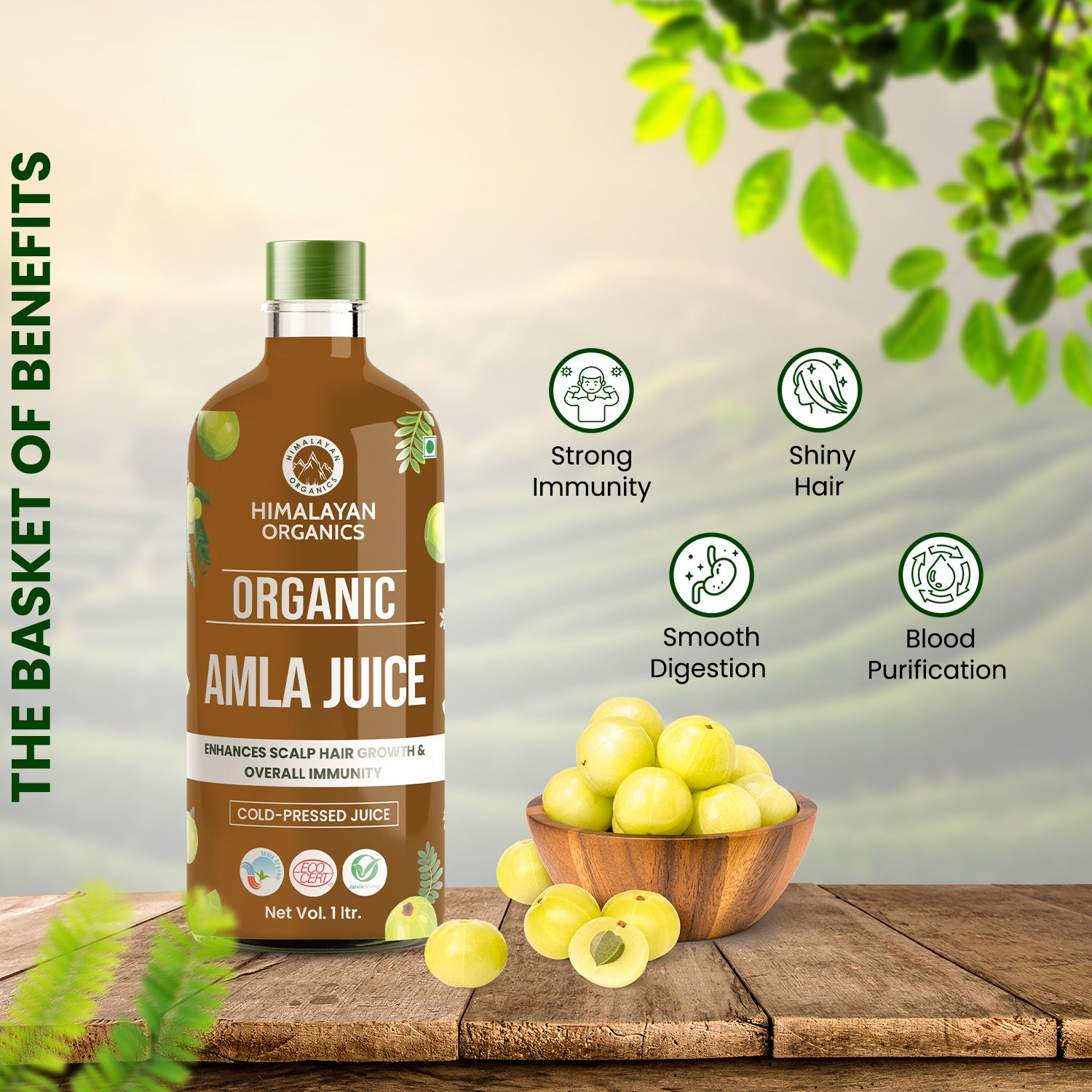 Top 9 Health Benefits Of Amla Indian Gooseberry Recipe For Amla Juice