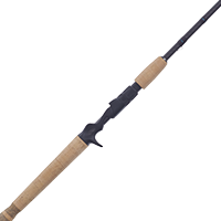 fenwick fishing rods