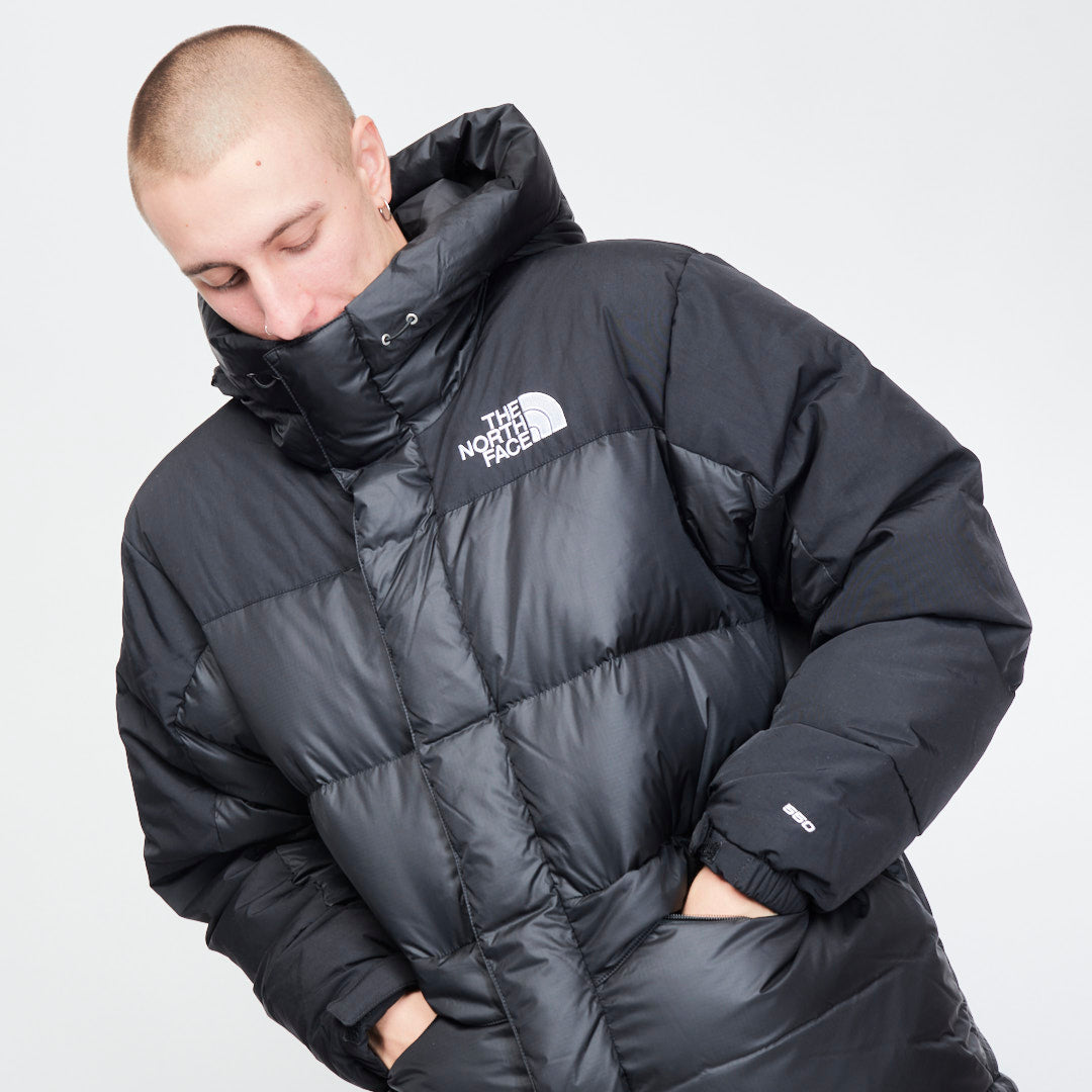 mens down parka north face