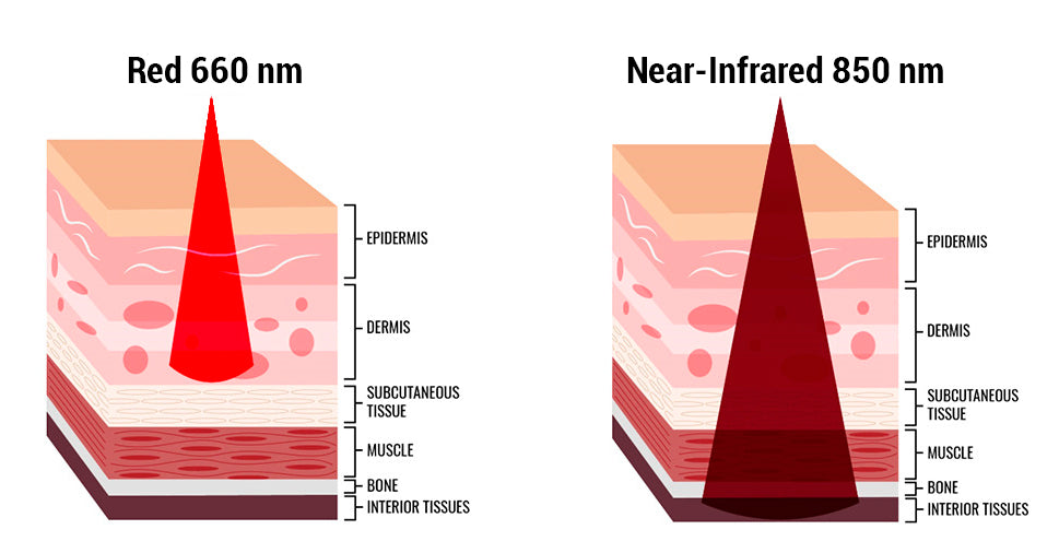 Red vs Near-Infrared Light | Orion Red Light Therapy
