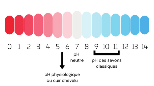 Shampoing solide pH neutre