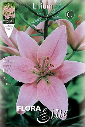 Lirio rosa - Azucena - Lilium - Bulbos – El Nou Garden
